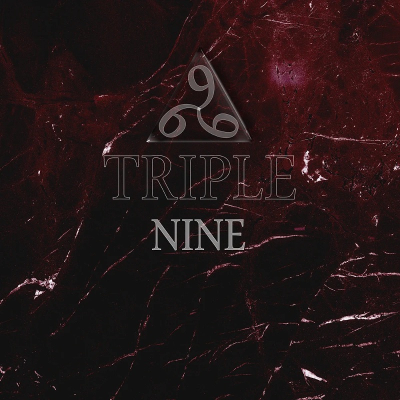 SAILOR HUNTER - Triple Nine cover 