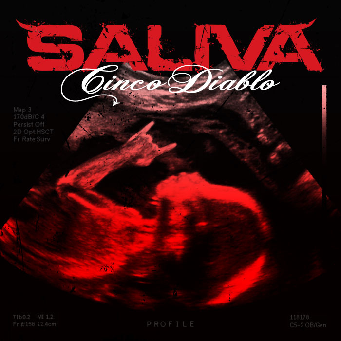 SALIVA - Cinco Diablo cover 