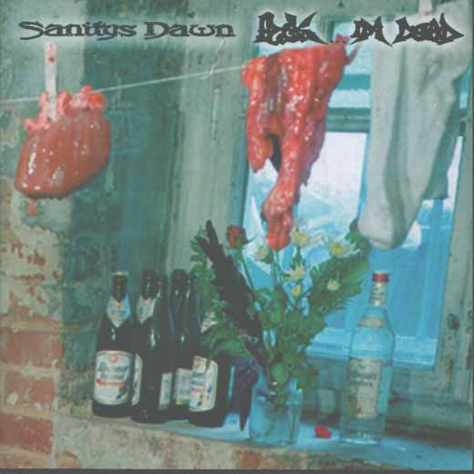 SANITYS DAWN - Fuck... I'm Dead / Sanitys Dawn cover 