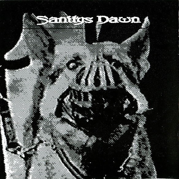 SANITYS DAWN - Sanitys Dawn / Mediocore cover 