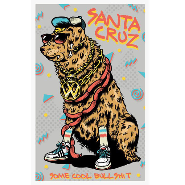 SANTA CRUZ - Some Cool Bullshit cover 