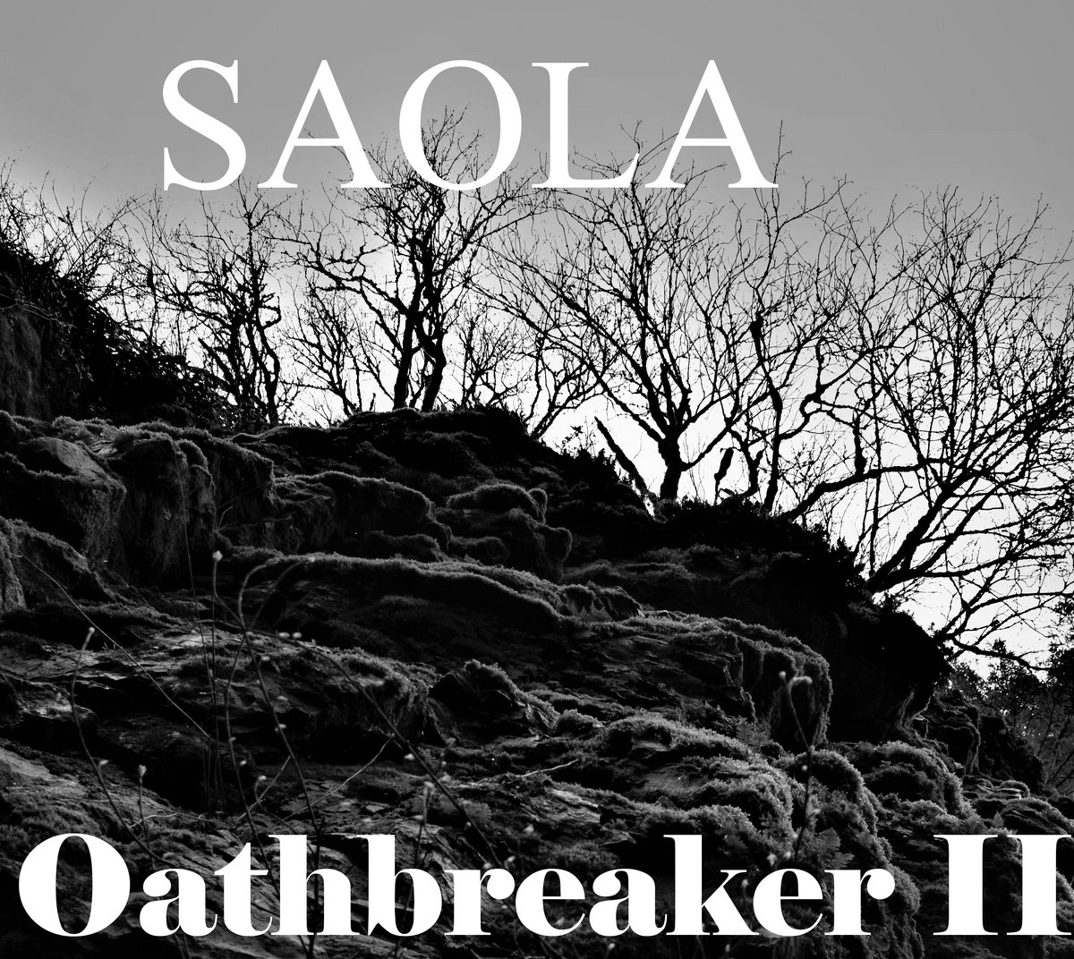SAOLA - Oathbreaker II cover 