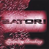 SATORI - Symmetry Breaking cover 