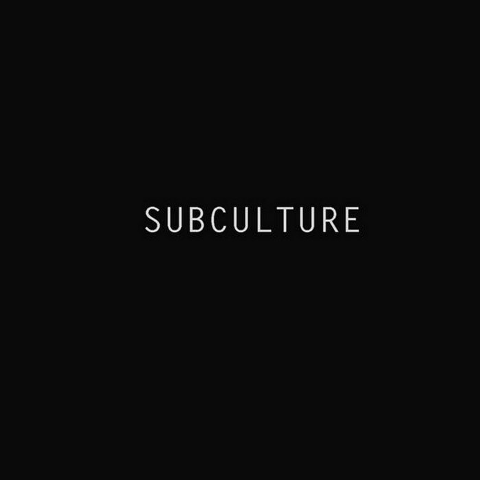 SCENES WE HAVE MISSED - Subculture cover 
