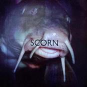 SCORN - In the Margins cover 