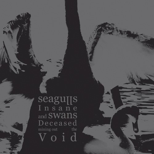 SEAGULLS INSANE AND SWANS DECEASED MINING OUT THE VOID - Seagulls Insane and Swans Deceased Mining Out the Void cover 