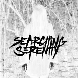 SEARCHING SERENITY - Violent Oppression (Instrumental) cover 