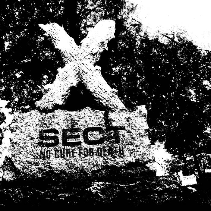 SECT (NC) - No Cure For Death cover 