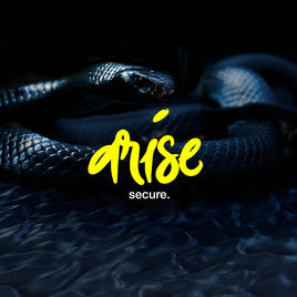 SECURE - Arise cover 