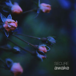 SECURE - Awake cover 