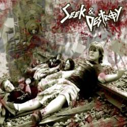 SEEK AND DESTROY - Sickness cover 