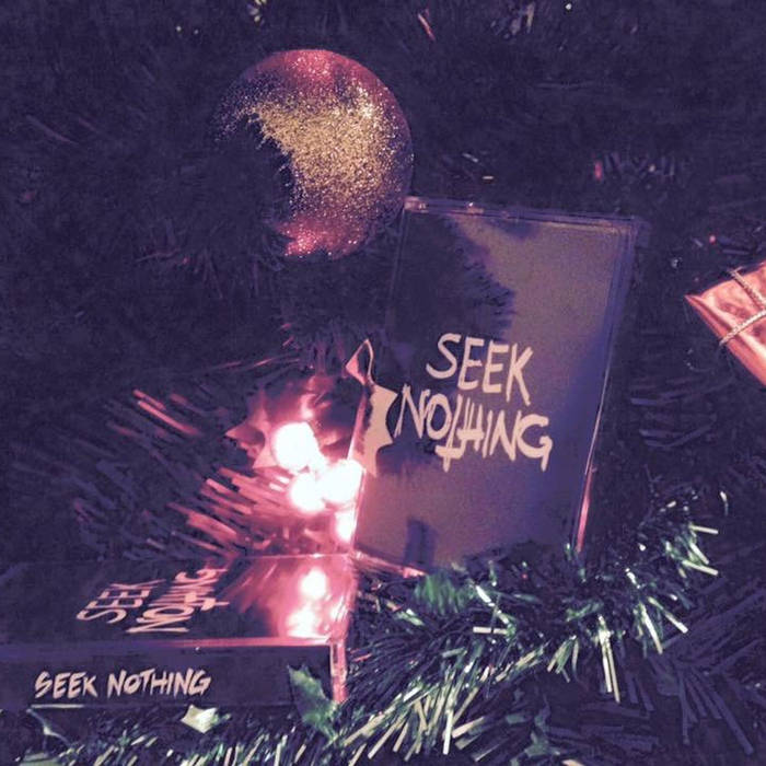 SEEK NOTHING - Demo 2015 cover 
