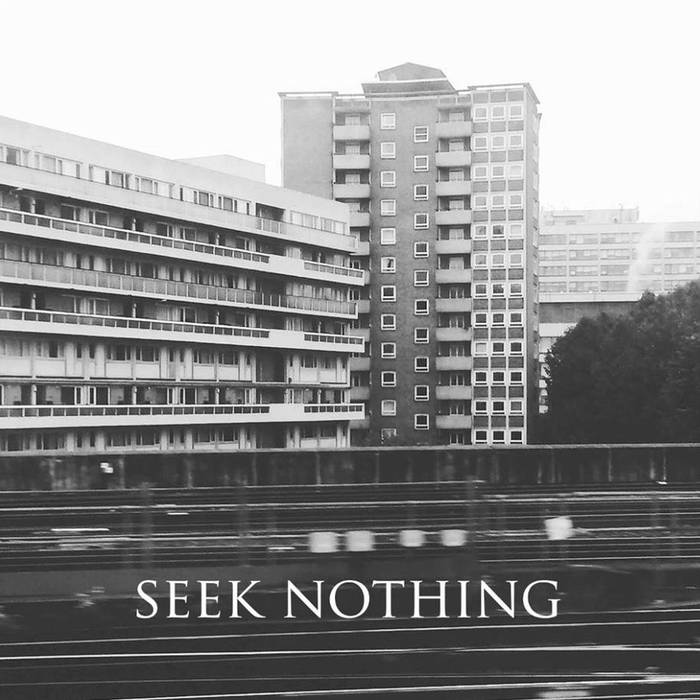 SEEK NOTHING - No End In Sight / Seek Nothing cover 