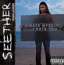 SEETHER - Disclaimer cover 