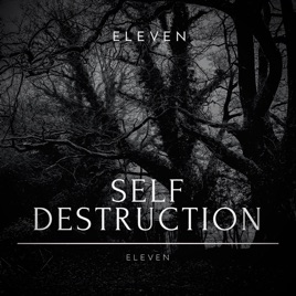 SELF DESTRUCTION - Eleven cover 