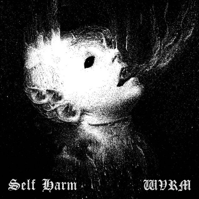 SELF HARM - Self Harm x WVRM cover 