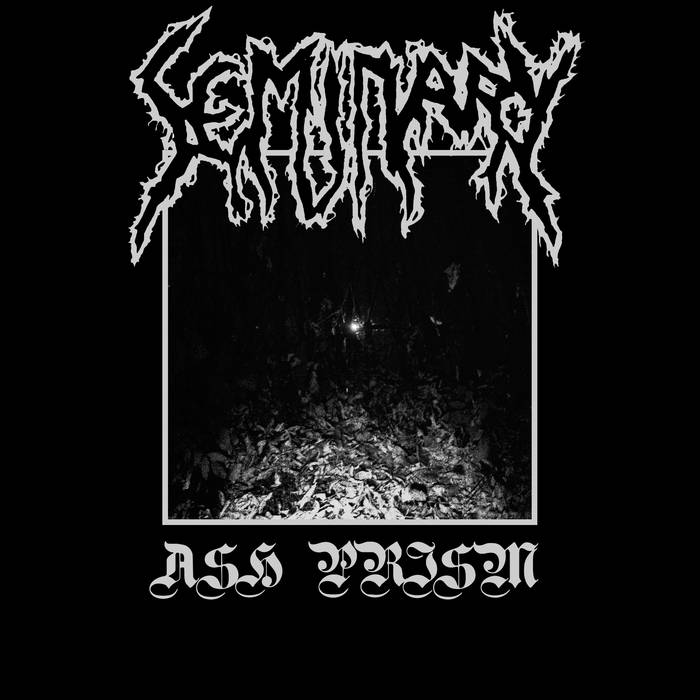 SEMINARY - Ash Prism cover 