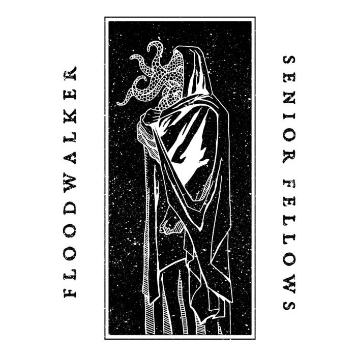 SENIOR FELLOWS - Floodwalker / Senior Fellows cover 
