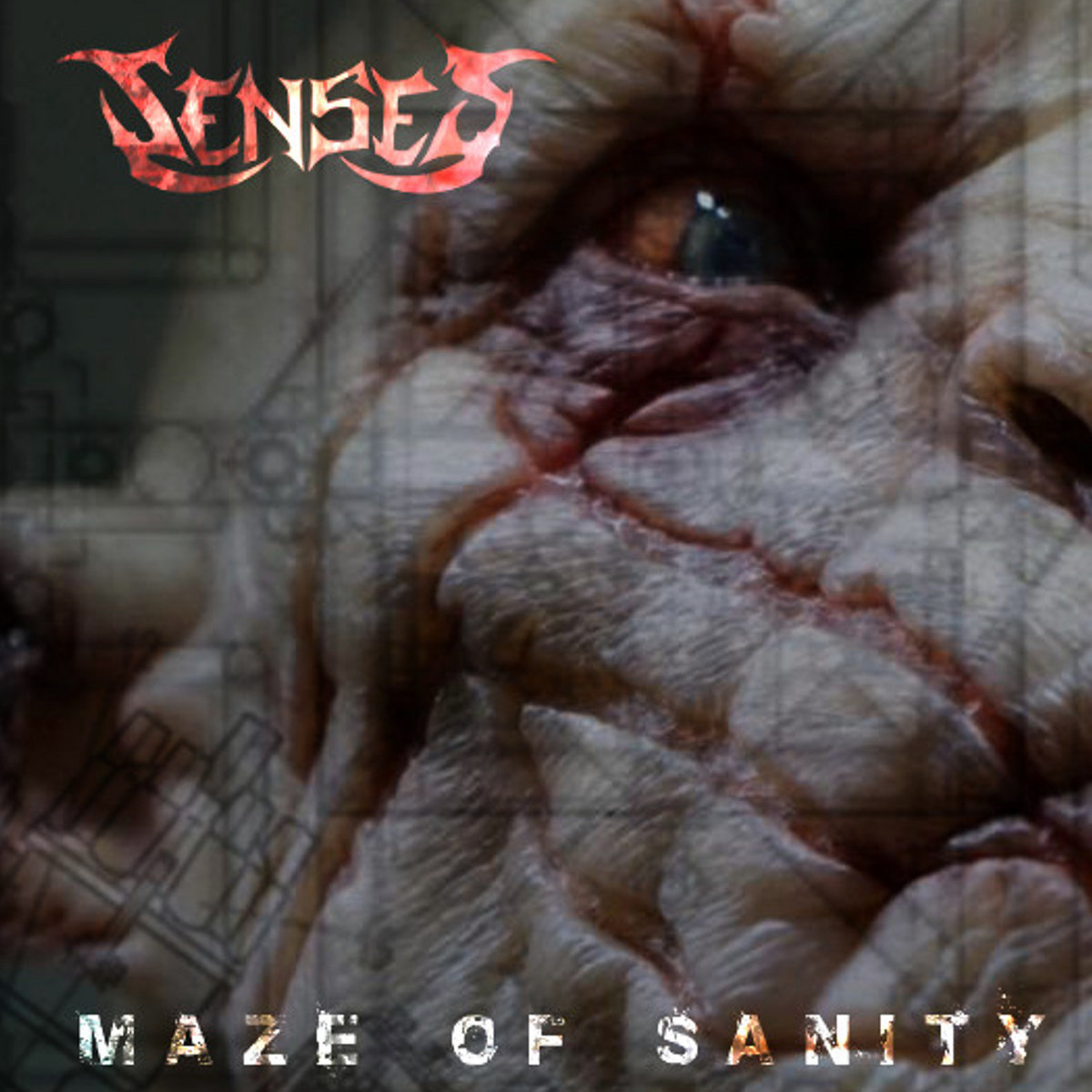 SENSES - Maze Of Sanity cover 
