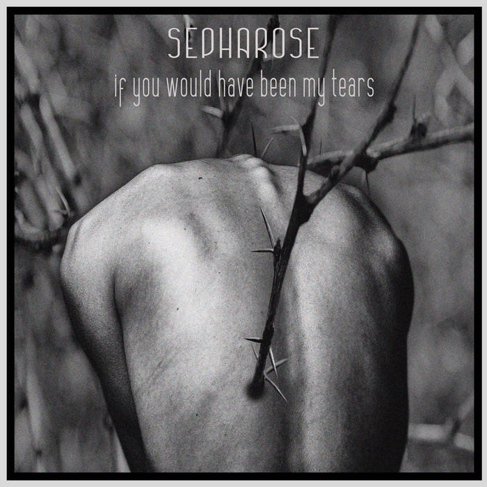 SEPHAROSE - If You Would Have Been My Tears cover 