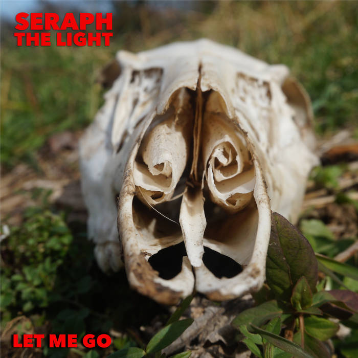 SERAPH / THE LIGHT - Let Me Go cover 
