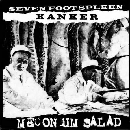 SEVEN FOOT SPLEEN - Meconium Salad cover 