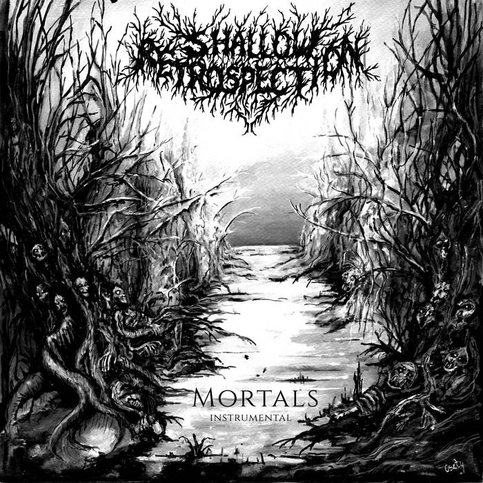 SHALLOW RETROSPECTION - Mortals (instrumental) cover 