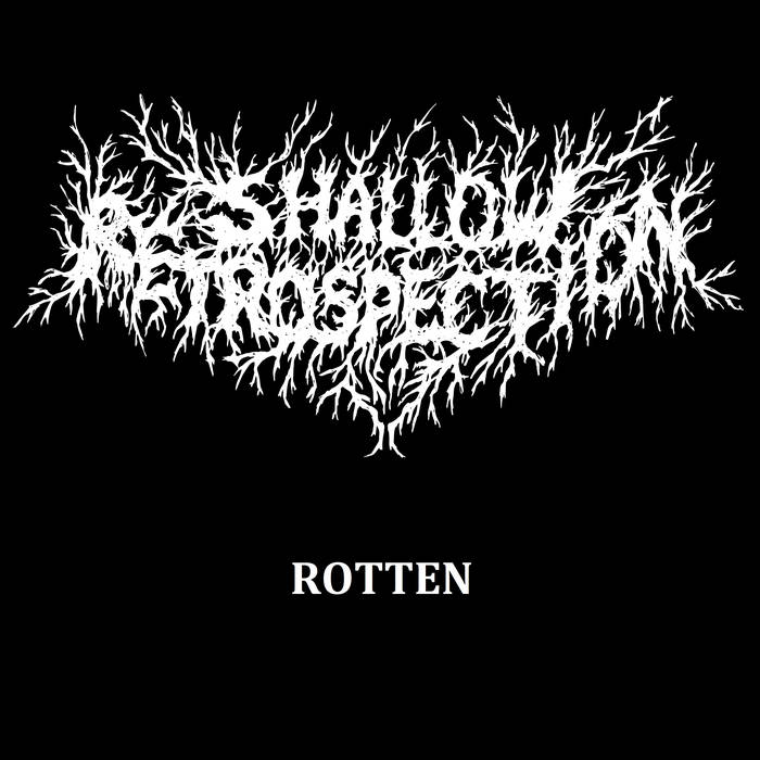 SHALLOW RETROSPECTION - Rotten cover 
