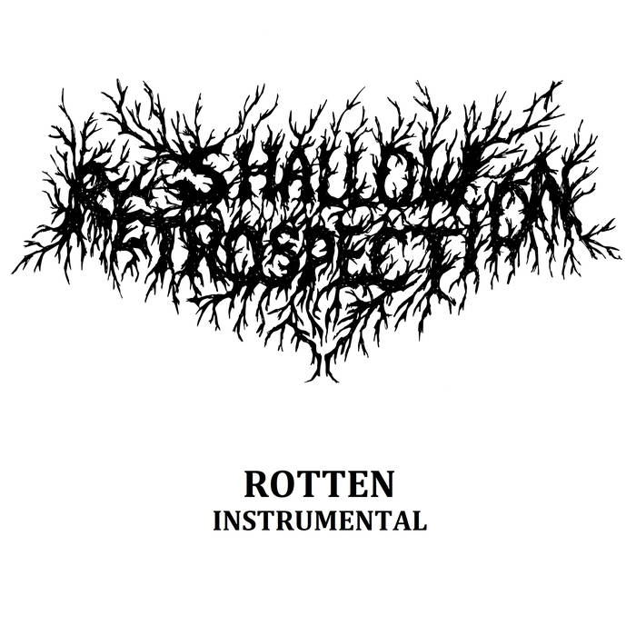 SHALLOW RETROSPECTION - Rotten (instrumental) cover 