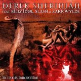 DEREK SHERINIAN - In the Summertime cover 