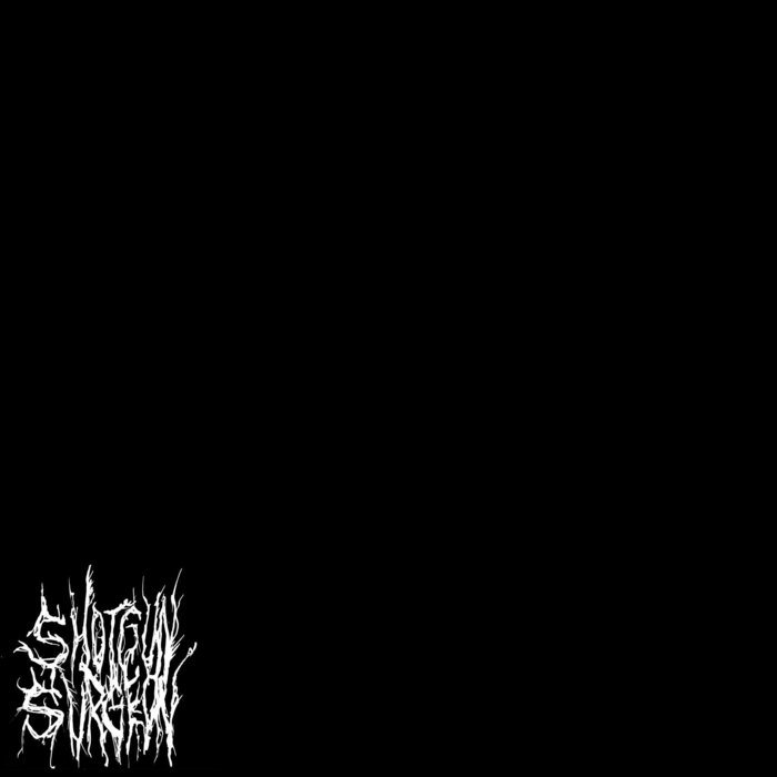 SHOTGUN SURGEON - Black Room cover 