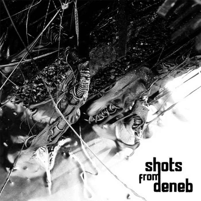 SHOTS FROM DENEB - Shots From Deneb cover 