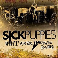 SICK PUPPIES - What Are You Looking For cover 