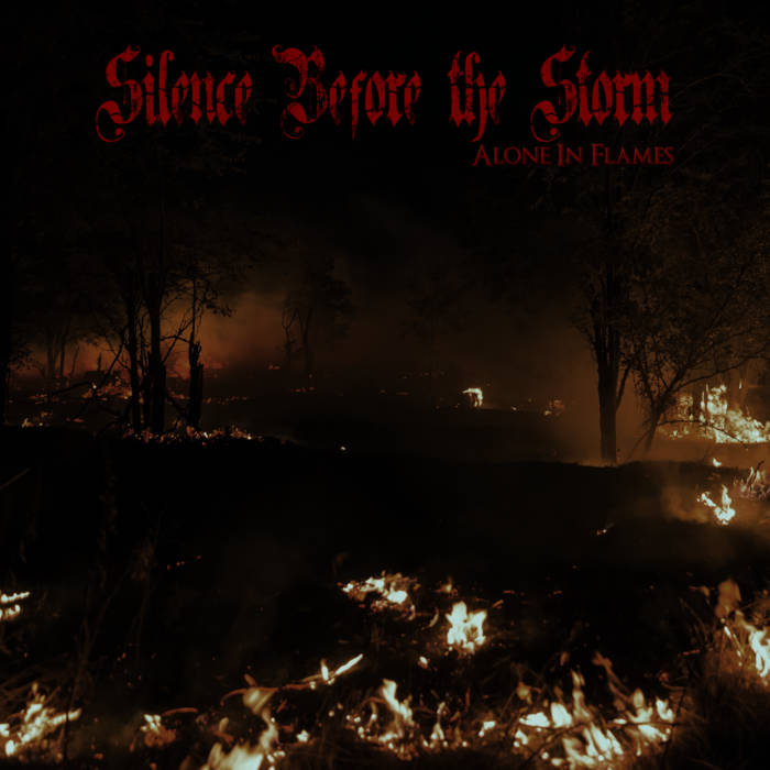 SILENCE BEFORE THE STORM - Alone In Flames cover 