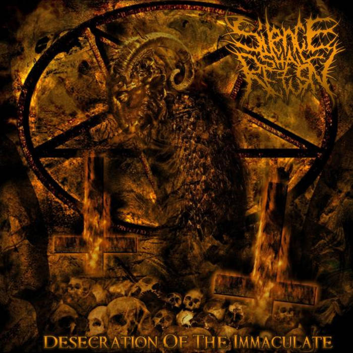 SILENCE SHALL RETURN - Desecration Of The Immaculate cover 