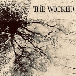 SILENT FRACTURE - The Wicked cover 