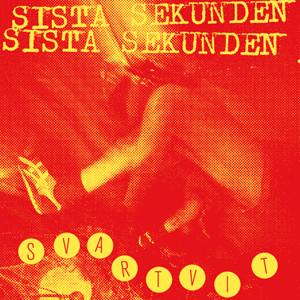 SISTA SEKUNDEN - Svartvit cover 