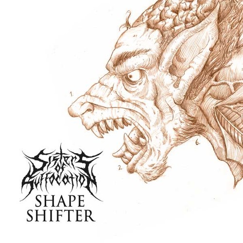 SISTERS OF SUFFOCATION - Shapeshifter cover 