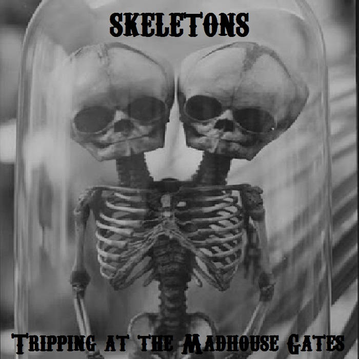 SKELETONS - Tripping At The Madhouse Gates cover 