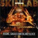 SKINLAB - Bound, Gagged and Blindfolded cover 