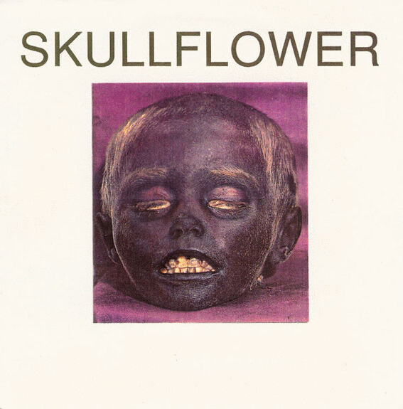 SKULLFLOWER - I Live In The Bottomless Pit / Bo Diddley's Shitpump cover 