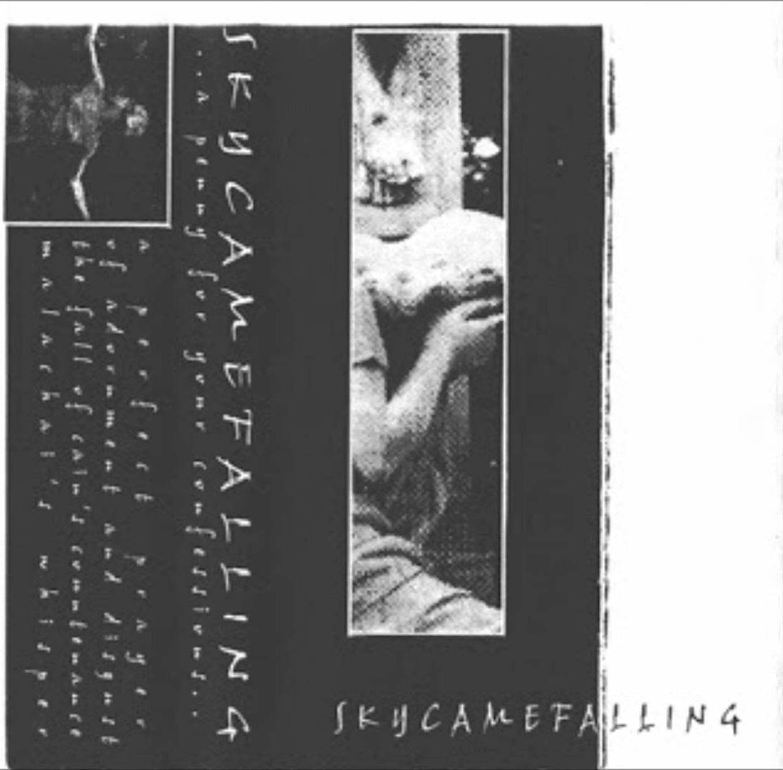 SKYCAMEFALLING - ...A Penny For Your Confessions cover 