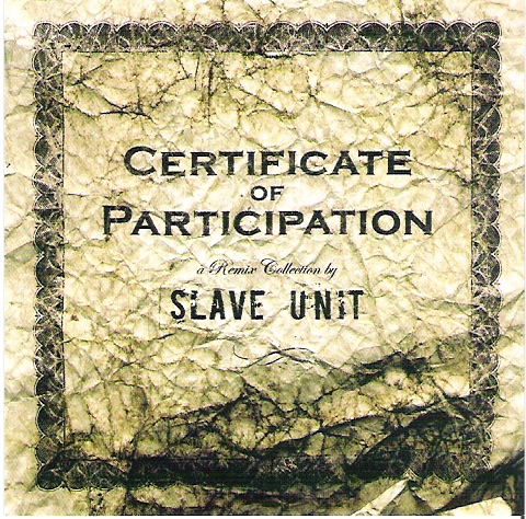 SLAVE UNIT - Certificate Of Participation cover 