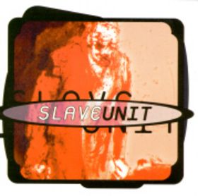 SLAVE UNIT - Slave Unit cover 
