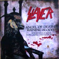 SLAYER - Angel of Death cover 