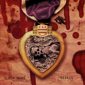 SLEEP MAPS - Medals cover 