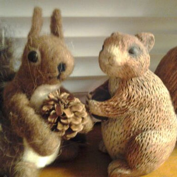 SLOTH - 2 Squirrels Getting Married! cover 