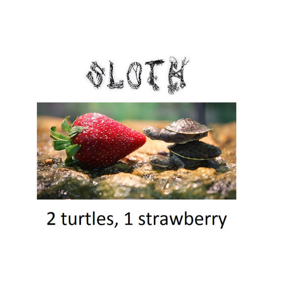 SLOTH - 2 Turtles, 1 Strawberry cover 
