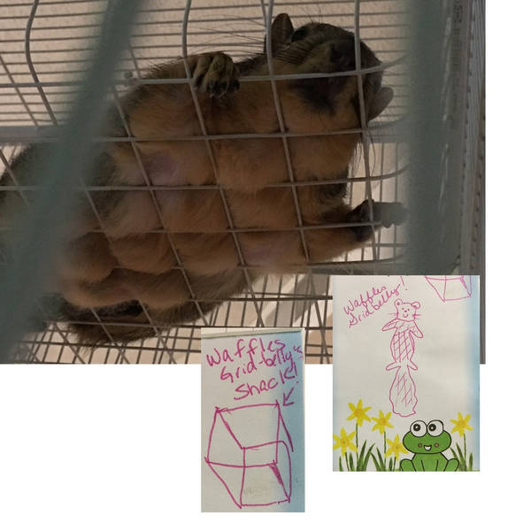 SLOTH - An Artist's Rendition Of Waffles Gridbelly & His Shack​!​! cover 