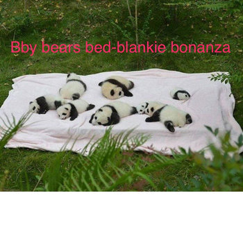SLOTH - Bby Bears Bed-blankie Bonanza!!!!​ cover 